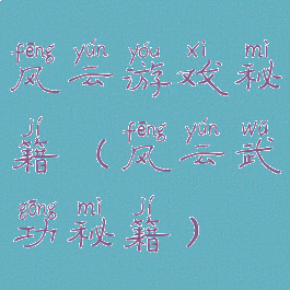 风云游戏秘籍(风云武功秘籍)