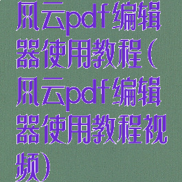 风云pdf编辑器使用教程(风云pdf编辑器使用教程视频)