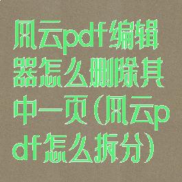 风云pdf编辑器怎么删除其中一页(风云pdf怎么拆分)