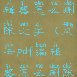 风云pdf编辑器怎么删除文字(风云pdf编辑器怎么删除其中一页)