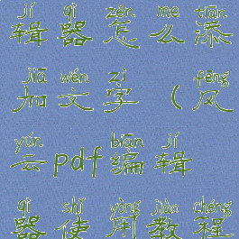 风云pdf编辑器怎么添加文字(风云pdf编辑器使用教程)