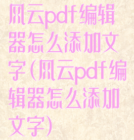 风云pdf编辑器怎么添加文字(风云pdf编辑器怎么添加文字)