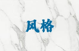 风格