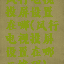 风行电视投屏设置在哪(风行电视投屏设置在哪二维码)