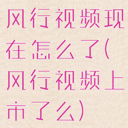 风行视频现在怎么了(风行视频上市了么)