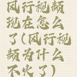 风行视频现在怎么了(风行视频为什么不火了)