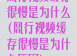 风行视频缓存很慢是为什么(风行视频缓存很慢是为什么原因)