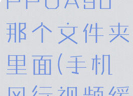 风行视频缓存视频在OPPOA96那个文件夹里面(手机风行视频缓存文件在哪)