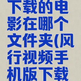 风行视频下载的电影在哪个文件夹(风行视频手机版下载路径)