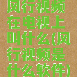 风行视频在电视上叫什么(风行视频是什么软件)