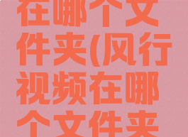 风行视频在哪个文件夹(风行视频在哪个文件夹里)