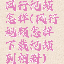 风行视频怎样(风行视频怎样下载视频到相册)