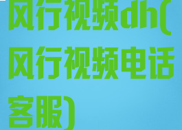 风行视频dh(风行视频电话客服)