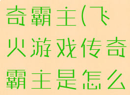 飞火游戏传奇霸主(飞火游戏传奇霸主是怎么样的)