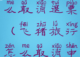 飞猪旅行怎么取消退票(飞猪旅行怎么取消申请退款)