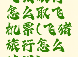 飞猪旅行怎么取飞机票(飞猪旅行怎么使用)