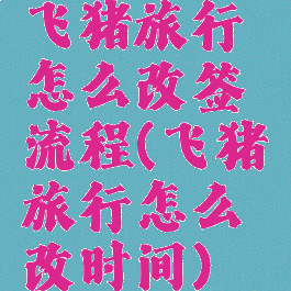 飞猪旅行怎么改签流程(飞猪旅行怎么改时间)