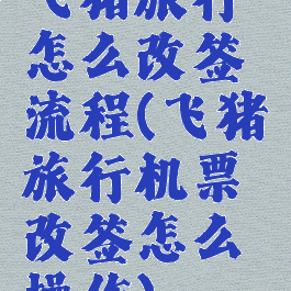 飞猪旅行怎么改签流程(飞猪旅行机票改签怎么操作)