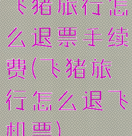 飞猪旅行怎么退票手续费(飞猪旅行怎么退飞机票)