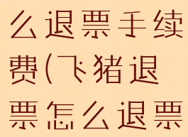 飞猪旅行怎么退票手续费(飞猪退票怎么退票)