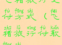 飞猪旅行支付方式(飞猪旅行付款方式)