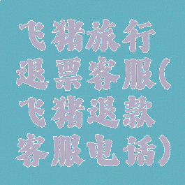 飞猪旅行退票客服(飞猪退款客服电话)