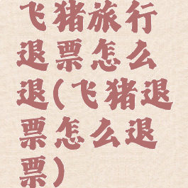 飞猪旅行退票怎么退(飞猪退票怎么退票)