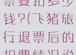 飞猪旅行退票要扣多少钱?(飞猪旅行退票后的扣费情况说明)