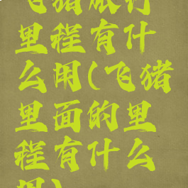 飞猪旅行里程有什么用(飞猪里面的里程有什么用)