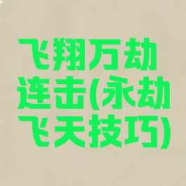 飞翔万劫连击(永劫飞天技巧)