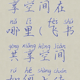 飞书的共享空间在哪里(飞书共享空间如何上传文件)