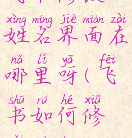 飞书修改姓名界面在哪里呀(飞书如何修改昵称)