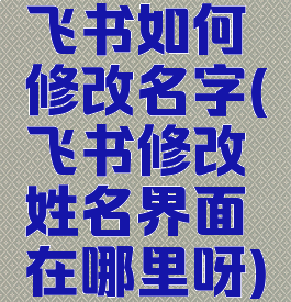 飞书如何修改名字(飞书修改姓名界面在哪里呀)