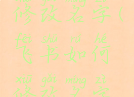 飞书如何修改名字(飞书如何修改名字电脑上)