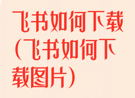 飞书如何下载(飞书如何下载图片)