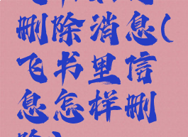 飞书如何删除消息(飞书里信息怎样删除)