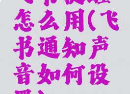 飞书提醒怎么用(飞书通知声音如何设置)