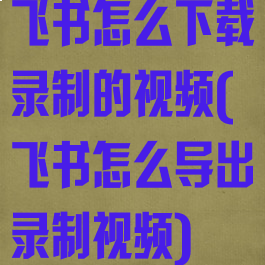 飞书怎么下载录制的视频(飞书怎么导出录制视频)