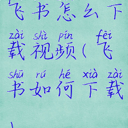 飞书怎么下载视频(飞书如何下载)