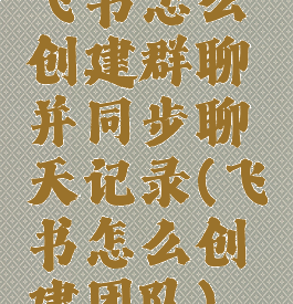 飞书怎么创建群聊并同步聊天记录(飞书怎么创建团队)