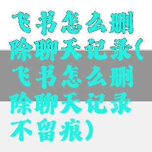 飞书怎么删除聊天记录(飞书怎么删除聊天记录不留痕)