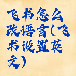 飞书怎么改语言(飞书设置英文)