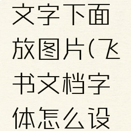 飞书怎么文字下面放图片(飞书文档字体怎么设置)