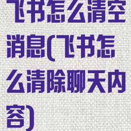 飞书怎么清空消息(飞书怎么清除聊天内容)