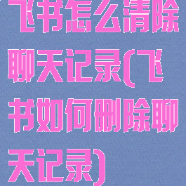 飞书怎么清除聊天记录(飞书如何删除聊天记录)