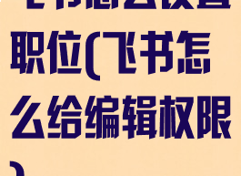 飞书怎么设置职位(飞书怎么给编辑权限)