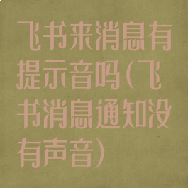 飞书来消息有提示音吗(飞书消息通知没有声音)