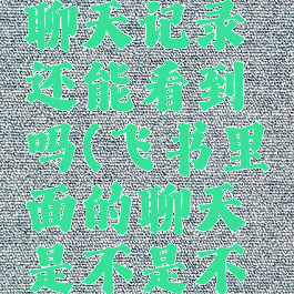 飞书清空聊天记录还能看到吗(飞书里面的聊天是不是不可以删除)