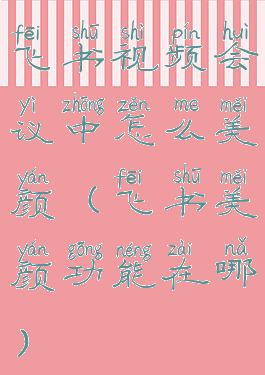 飞书视频会议中怎么美颜(飞书美颜功能在哪)