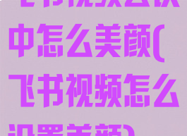 飞书视频会议中怎么美颜(飞书视频怎么设置美颜)